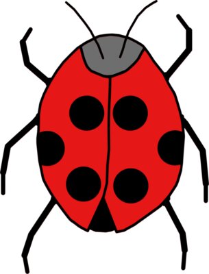 ladybug  3 
