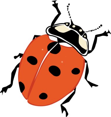 mekonee 29 ladybug 1