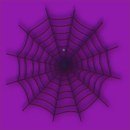 Spider Web Icon2