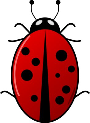 Ladybug Arvin61r58