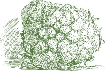 johnny automatic cauliflower