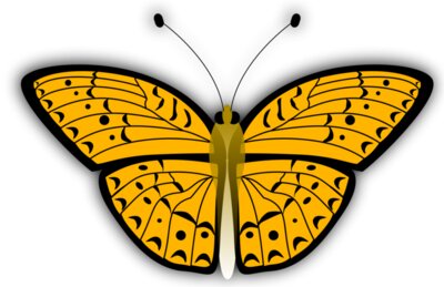 jilagan butterfly 2