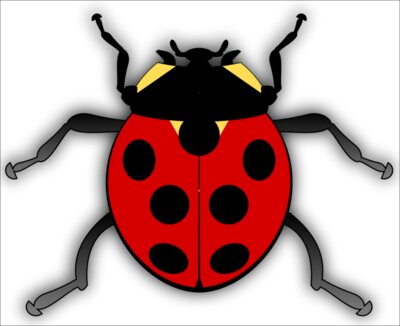jilagan Ladybug