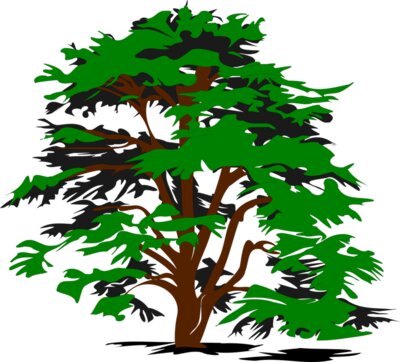 bobocal simple vector tree  2 
