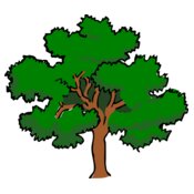 tree oak400px