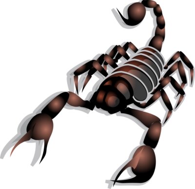 Anonymous Scorpion  2 
