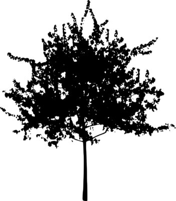 tree9