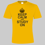 Keep calm study on - marškinėliai vyriški 190gr.